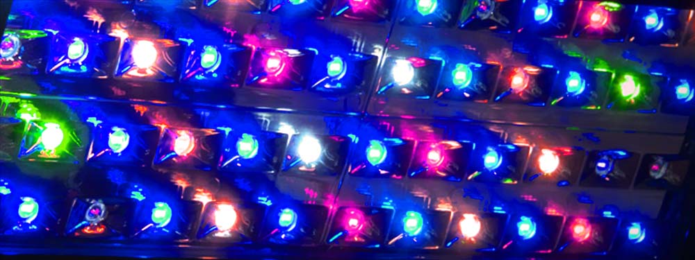 Horticoled - LED Couleur XMAX