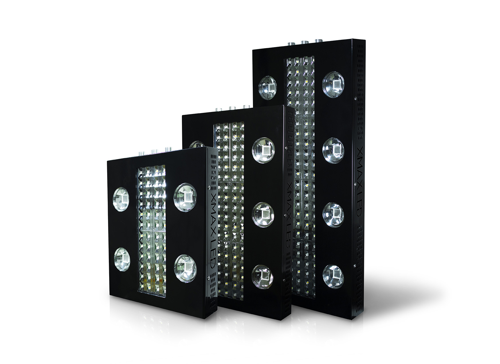  Gama horticol LED XMAX V4
