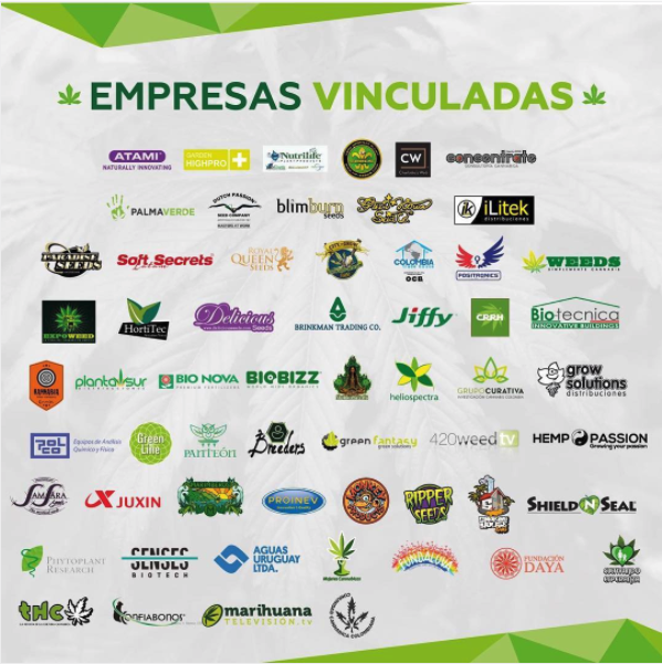 EXPOZANȚI IN ACESTE EXPOMEDEWEED